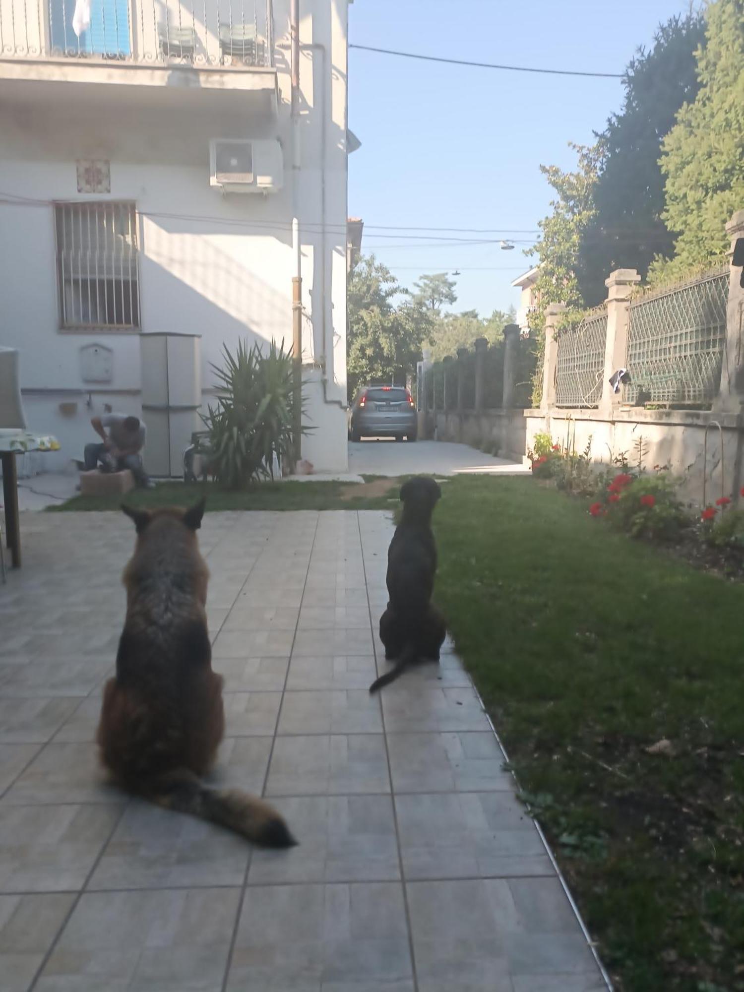 ורונה B&B Mavipagi מראה חיצוני תמונה