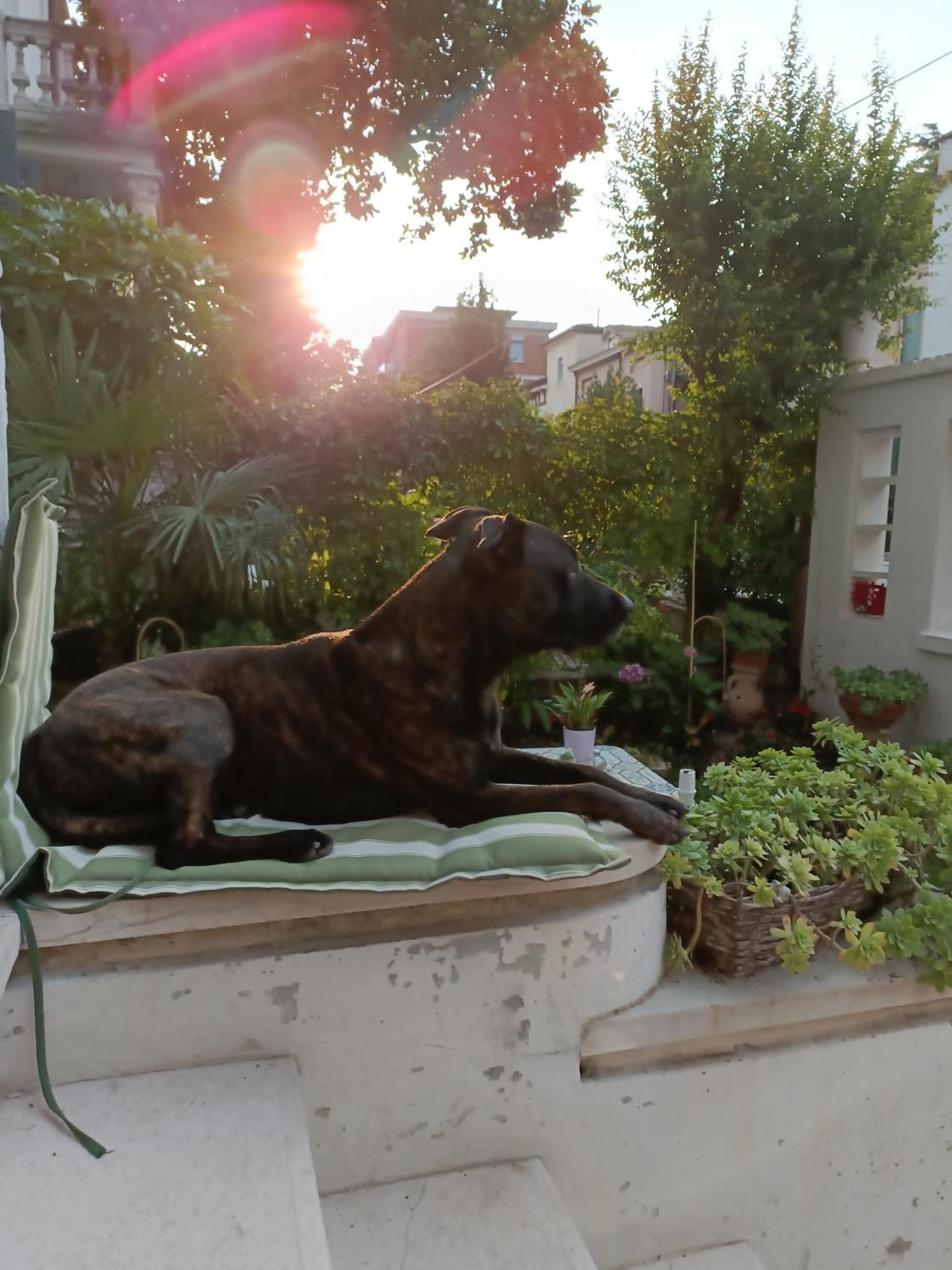 ורונה B&B Mavipagi חדר תמונה