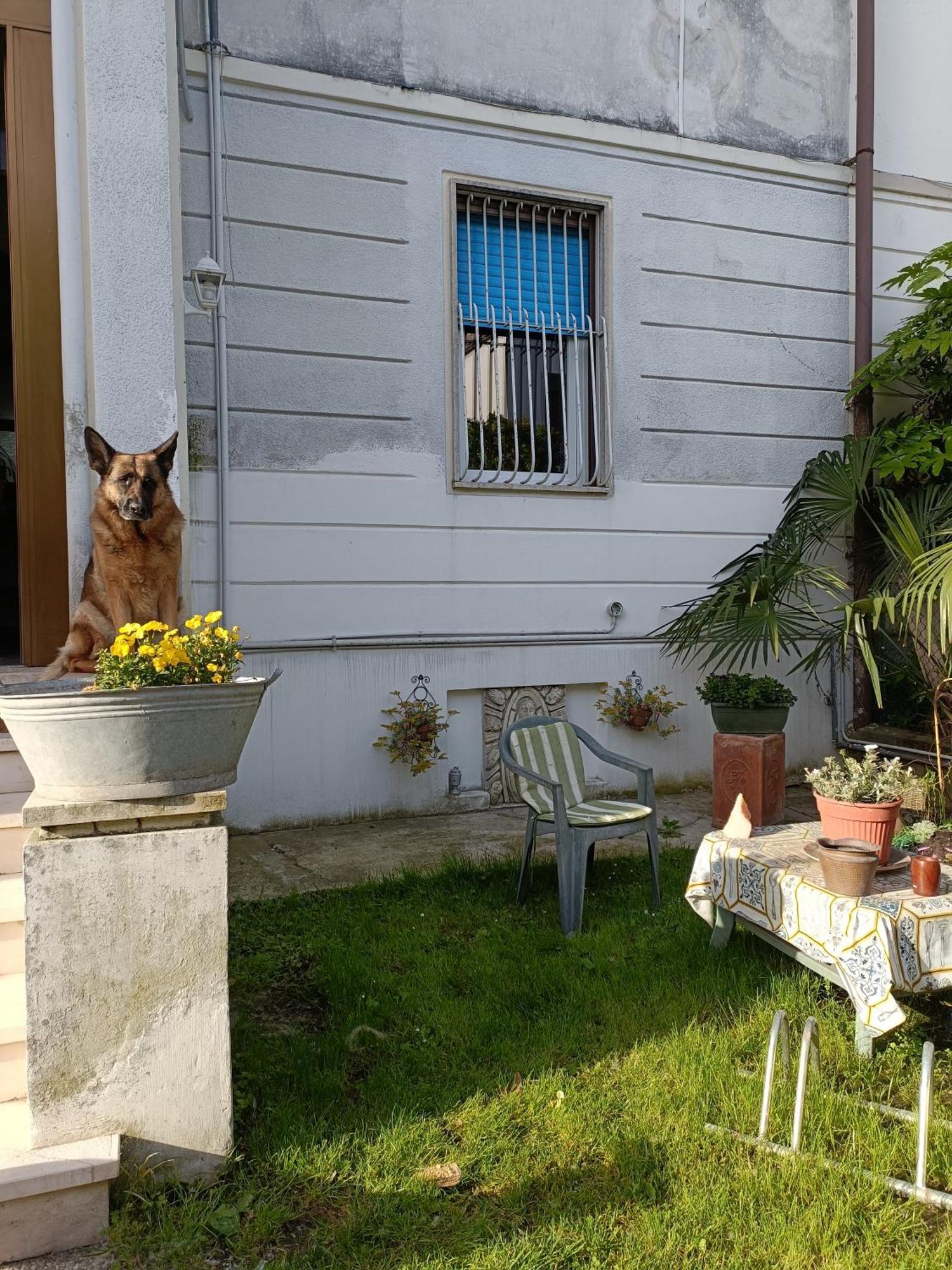 ורונה B&B Mavipagi מראה חיצוני תמונה